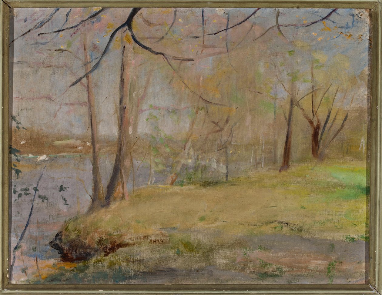 Studi da Marijno da Jan Ciągliński