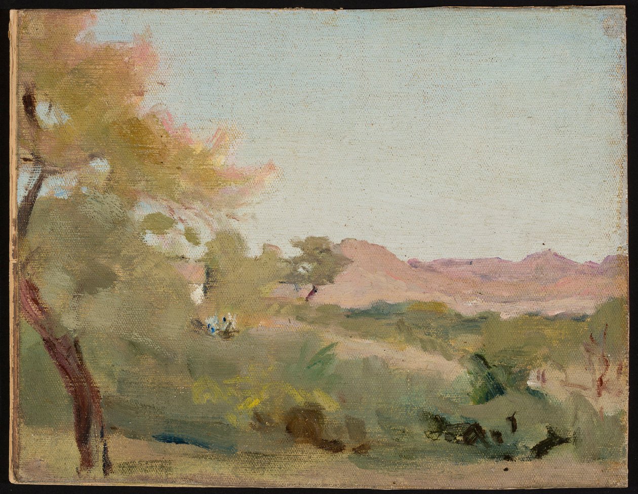 Udaipur - paesaggio indiano. Da un viaggio in India da Jan Ciągliński