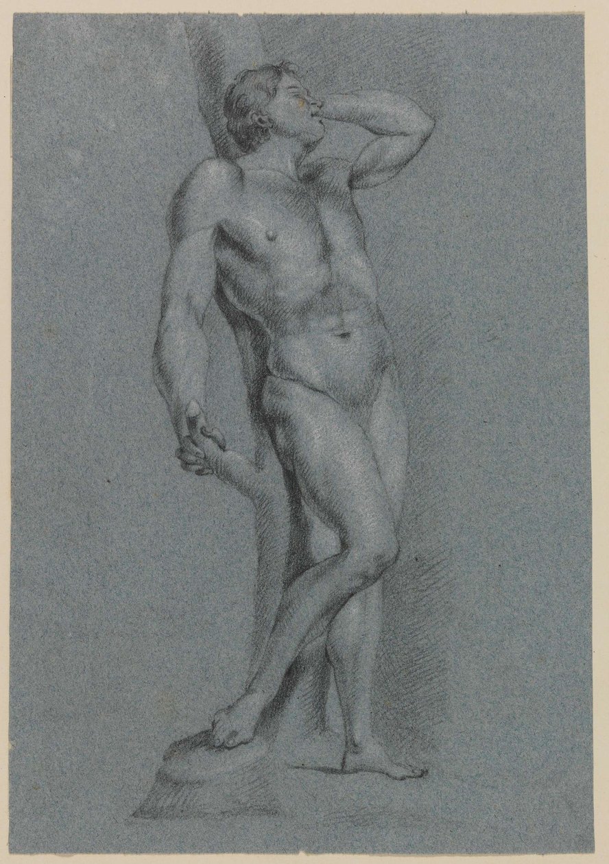 Uomo nudo, in piedi appoggiato a un albero da Jan Claudius de Cock