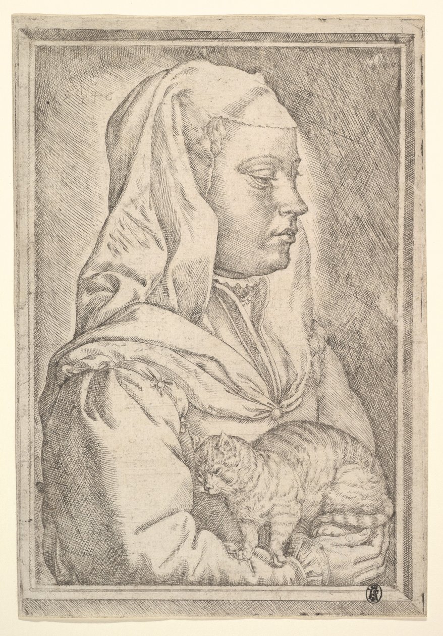 Ragazza con un gatto, 1546 da Jan Cornelisz Vermeyen