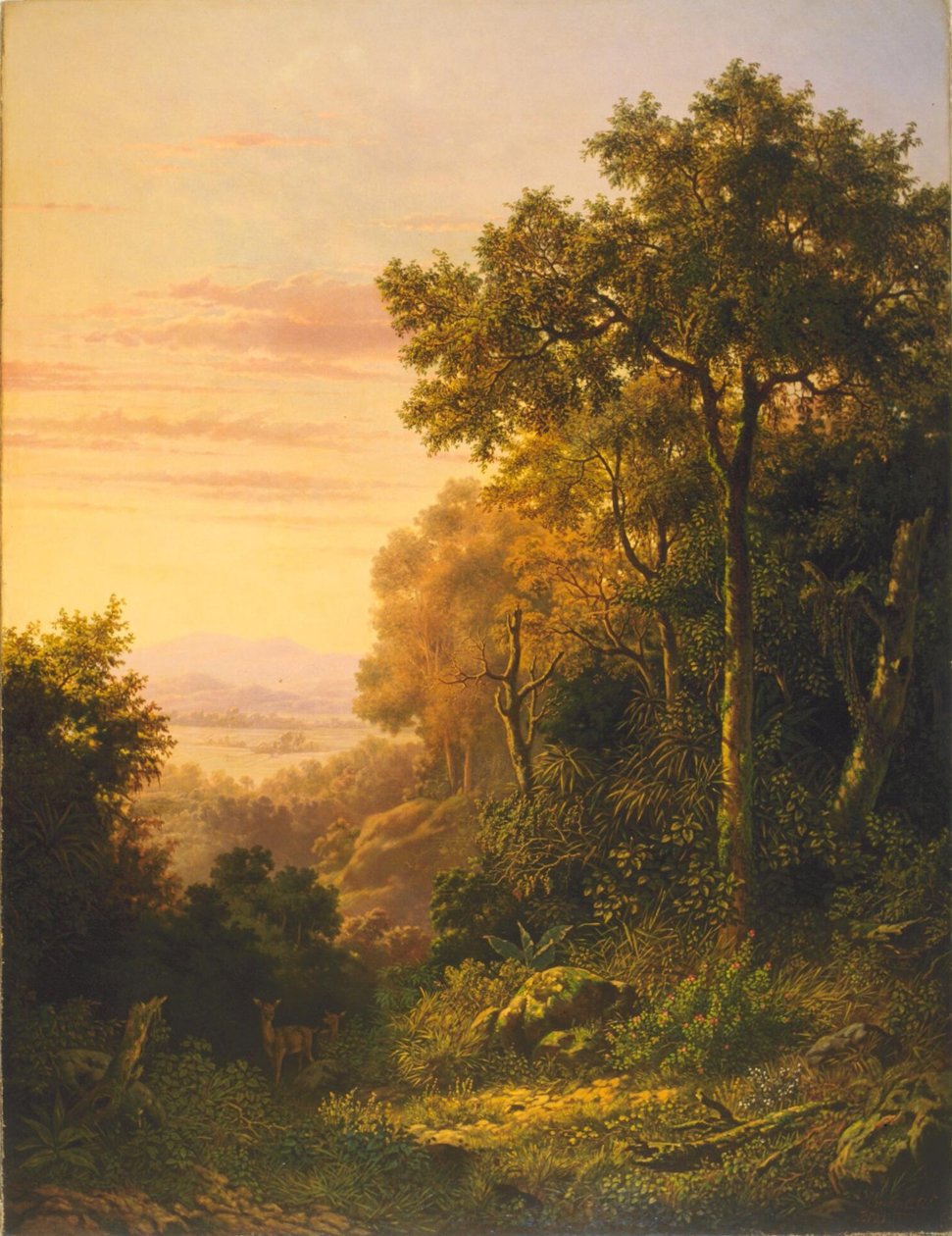 Olandese: Paesaggio con cervo all