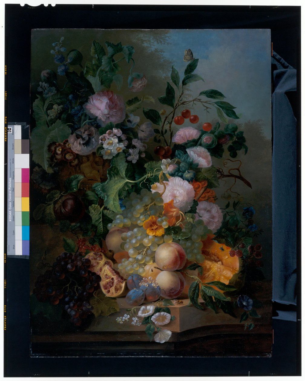 Natura morta con fiori, pere, uva, ciliegie, un melone e farfalle da Jan Evert Morel