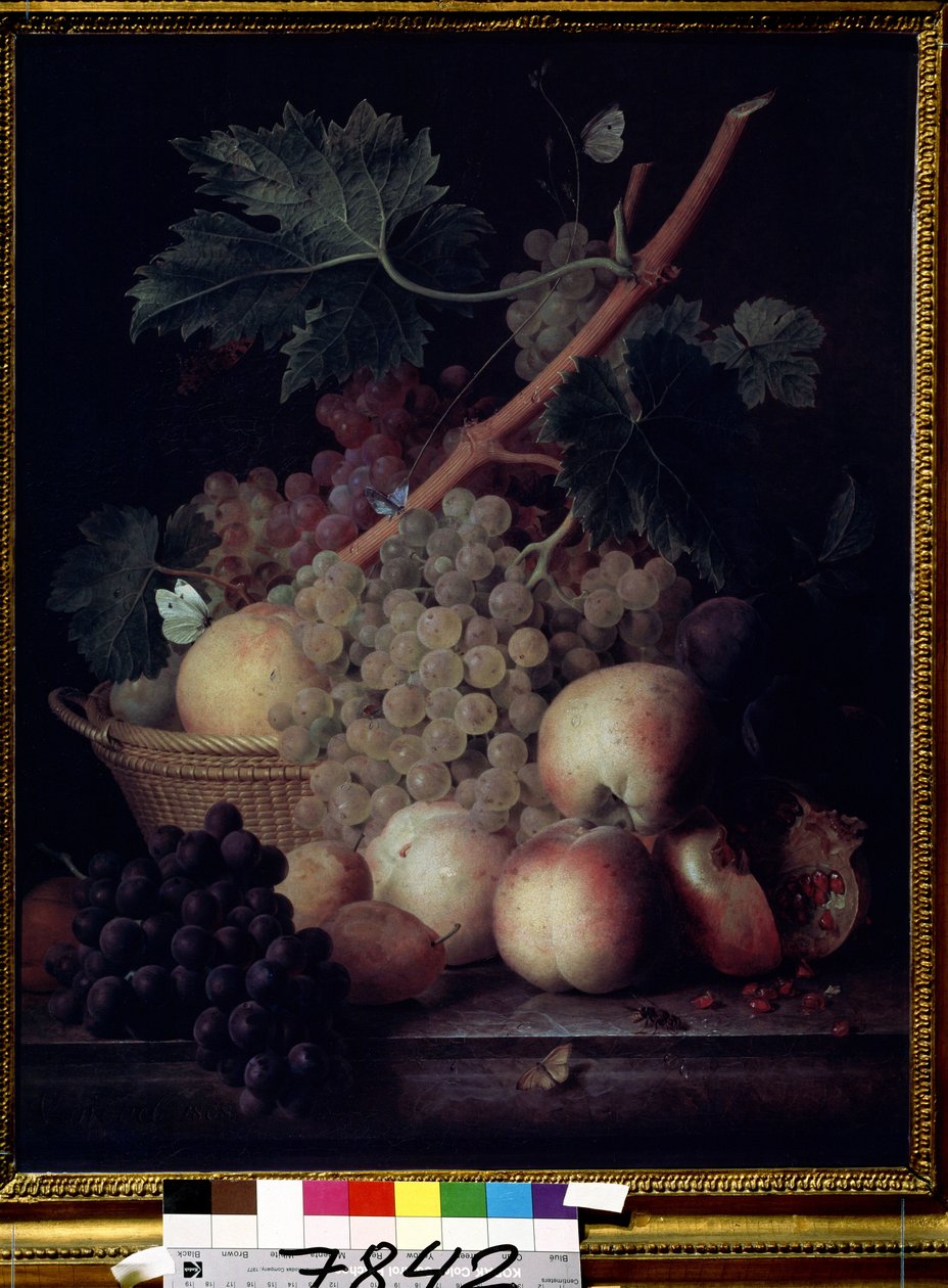 Frutta da Jan Frans van Dael