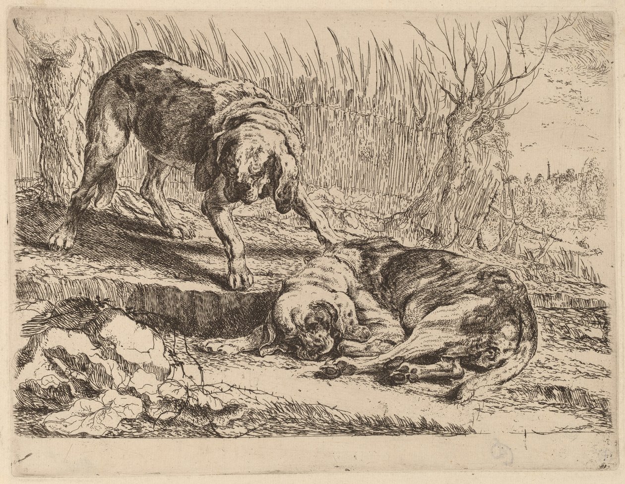 Due beagle, uno dorme da Jan Fyt