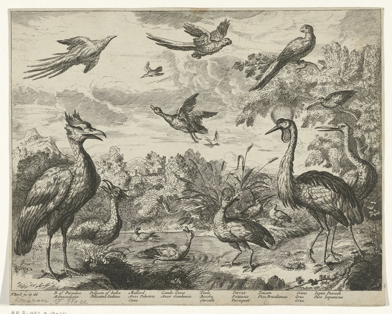 Diversi uccelli in un paesaggio da Jan Griffier (I) (copy after)
