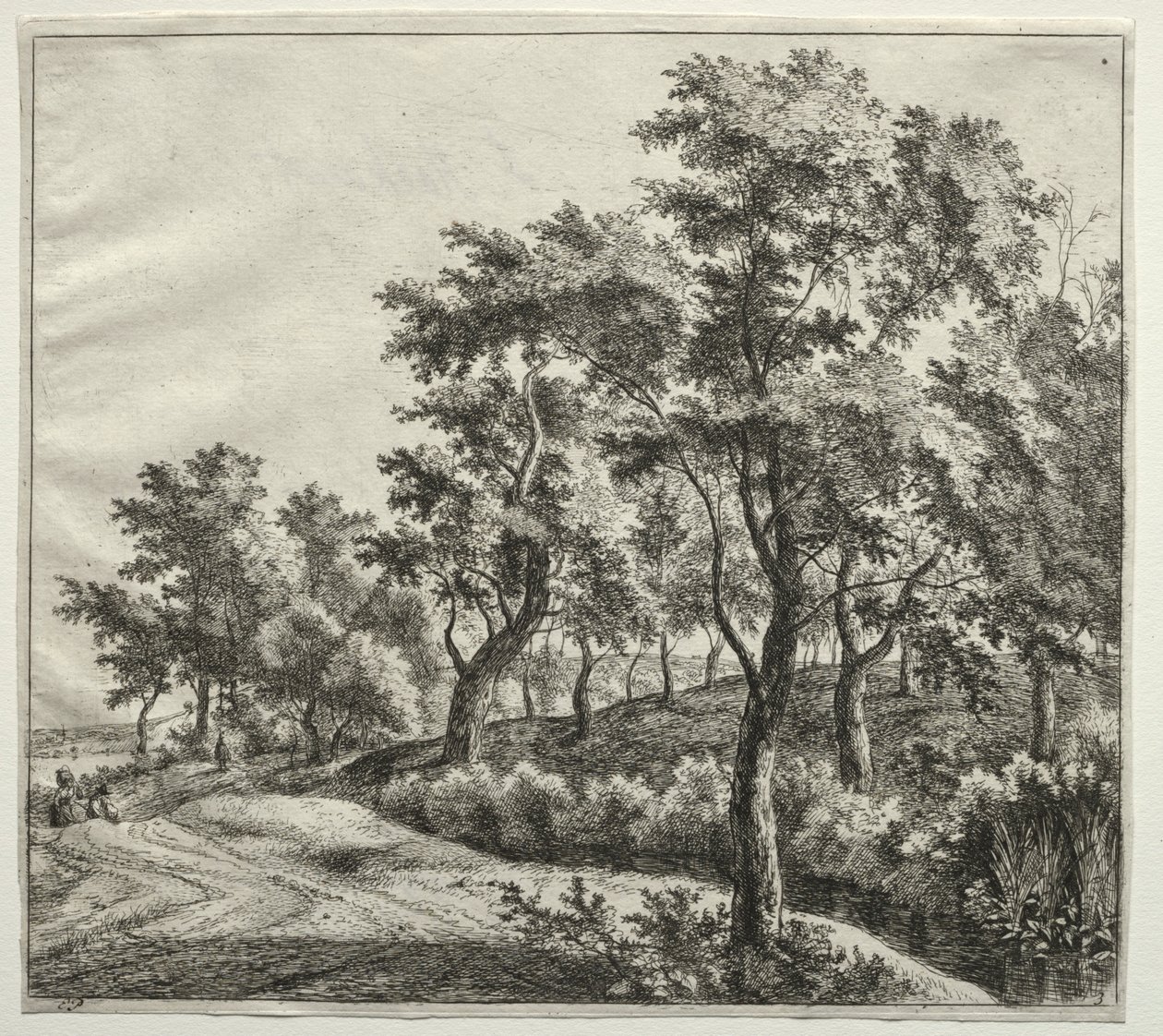 Il ruscello stretto da Jan Hackaert