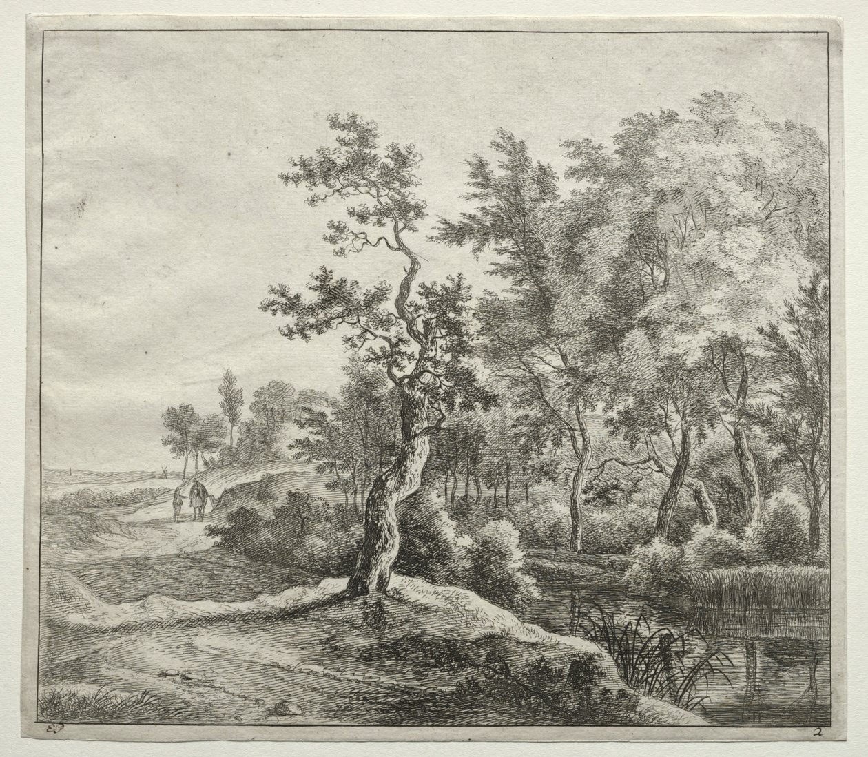 La strada della Serpentina da Jan Hackaert