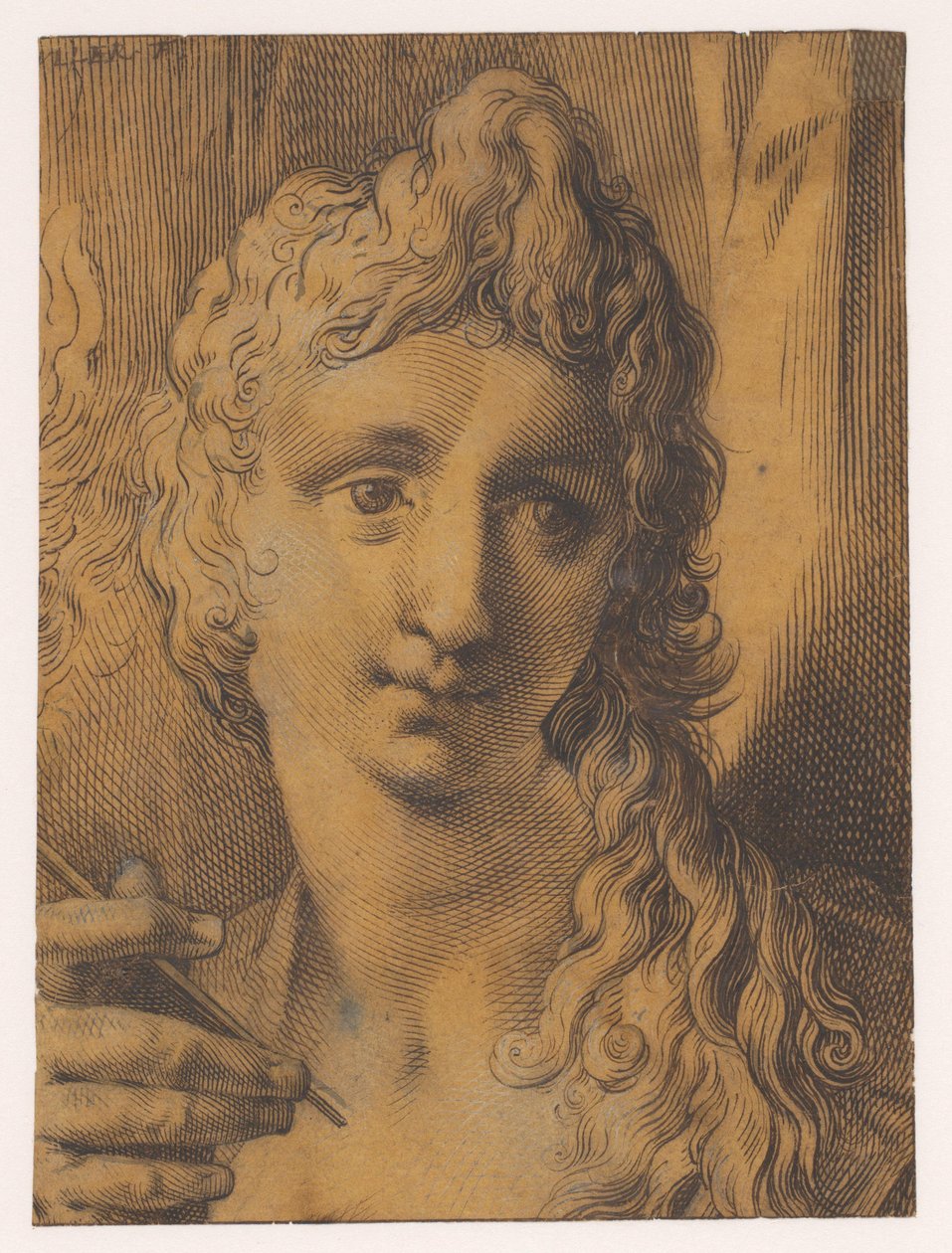 Testa di giovane o giovane donna che tiene un bulino (?) in mano da Jan Harmensz. Muller
