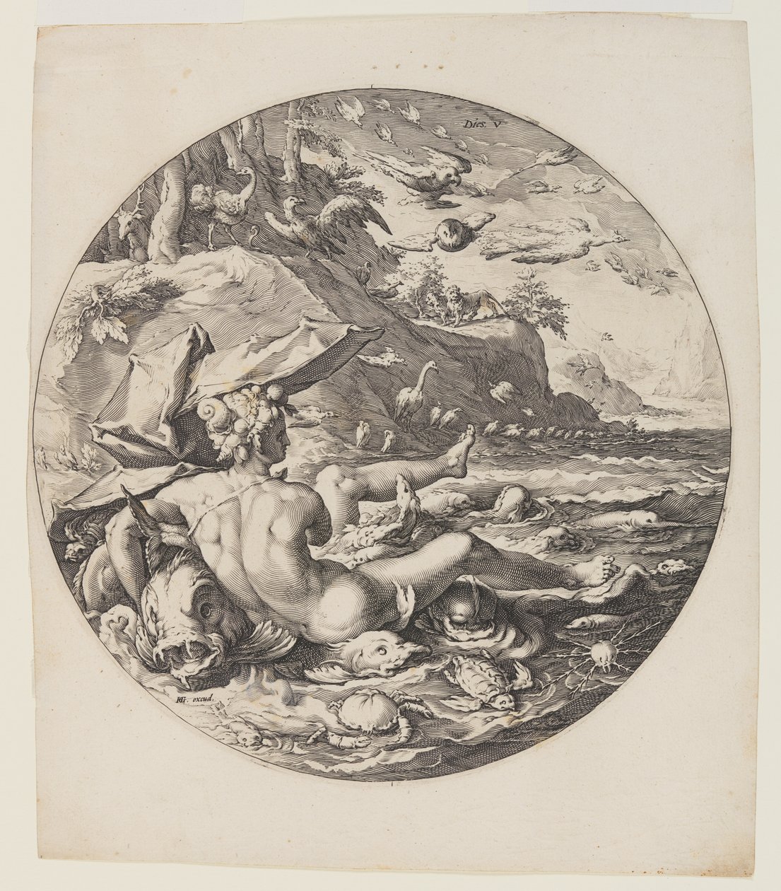 Il quinto giorno, tavola 6, dalla Creazione del mondo da Jan Harmensz. Muller