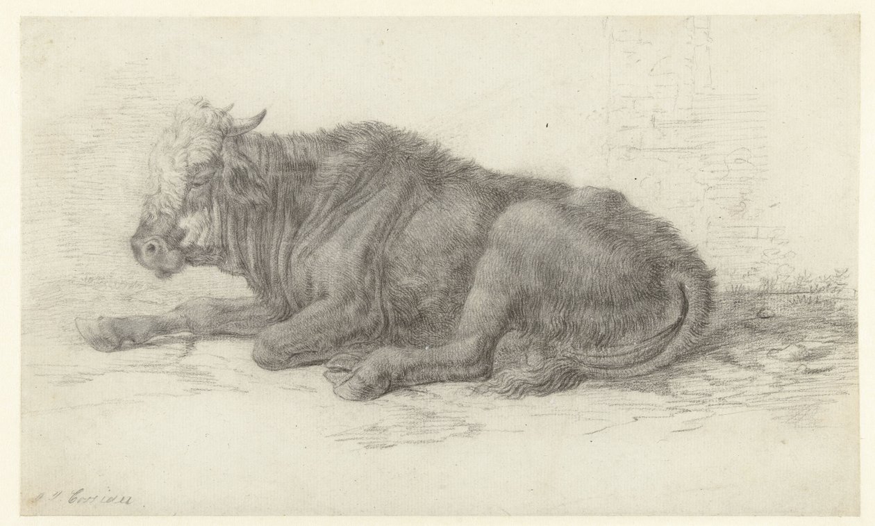 Mucca sdraiata da Jan Joost van Cossiau