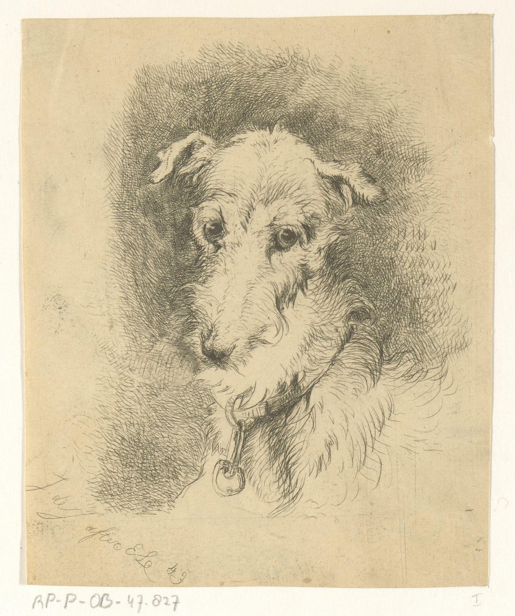 Testa di levriero da Jan Karel Jacob de Jonge