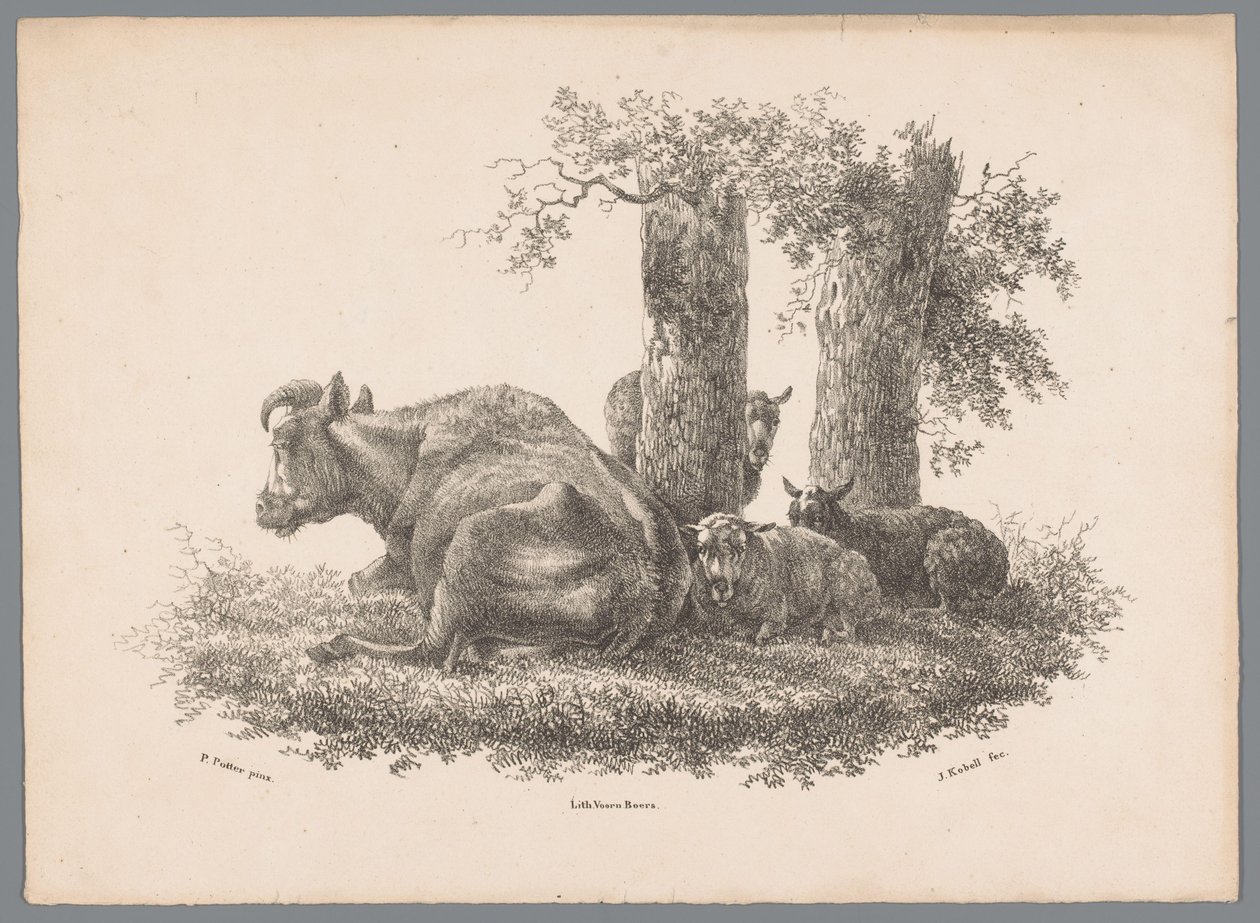 Una mucca e tre pecore (Studi di animali di J. Kobell da Paul Potter Nr. 1) da Jan Kobell (III)