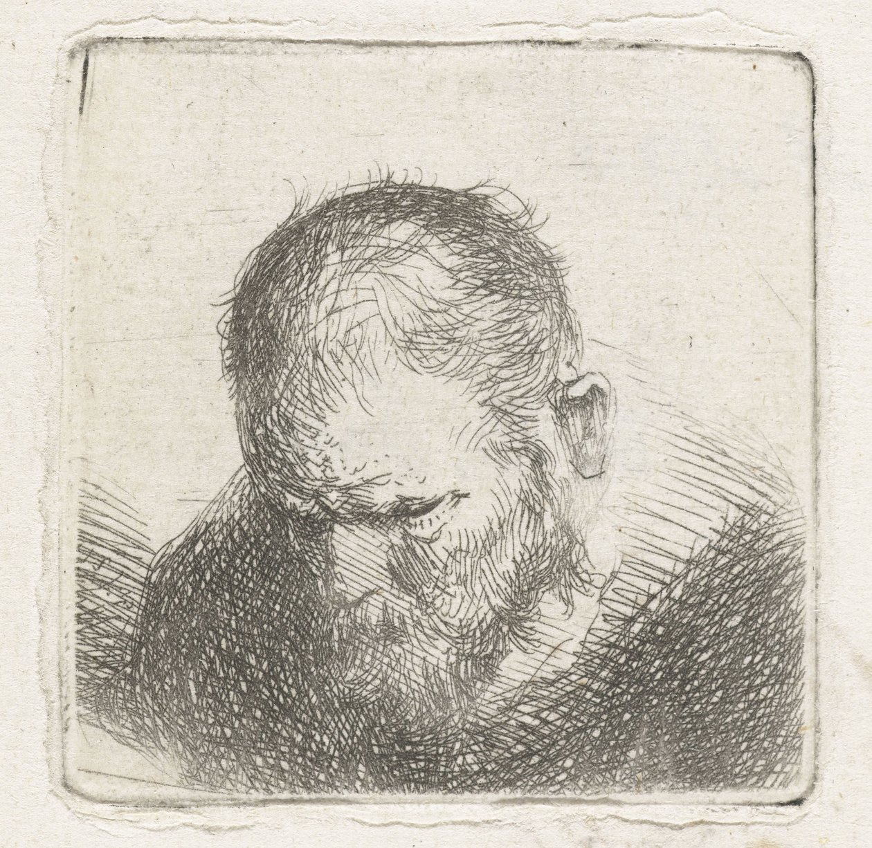 Uomo con barba da Jan Lievens (possibly)