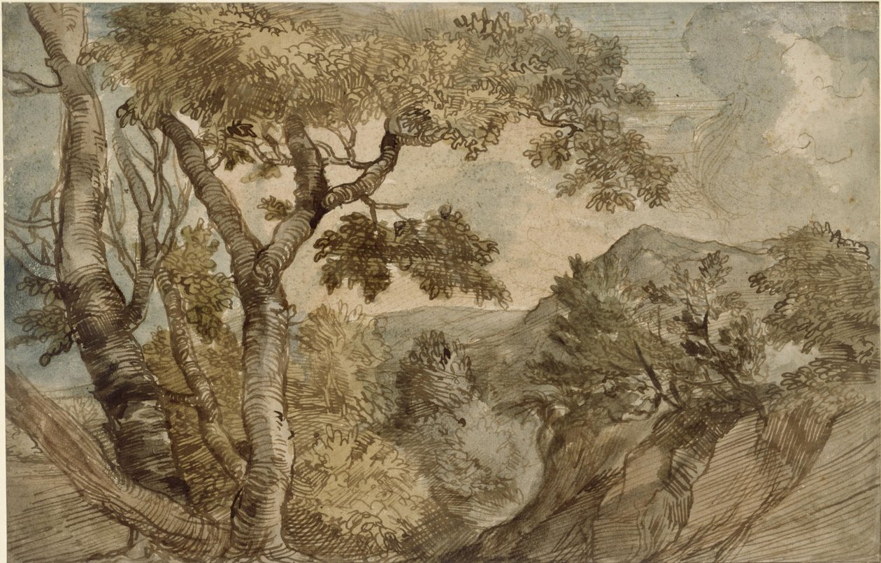 Paesaggio montuoso con gruppo di alberi da Jan Lievens