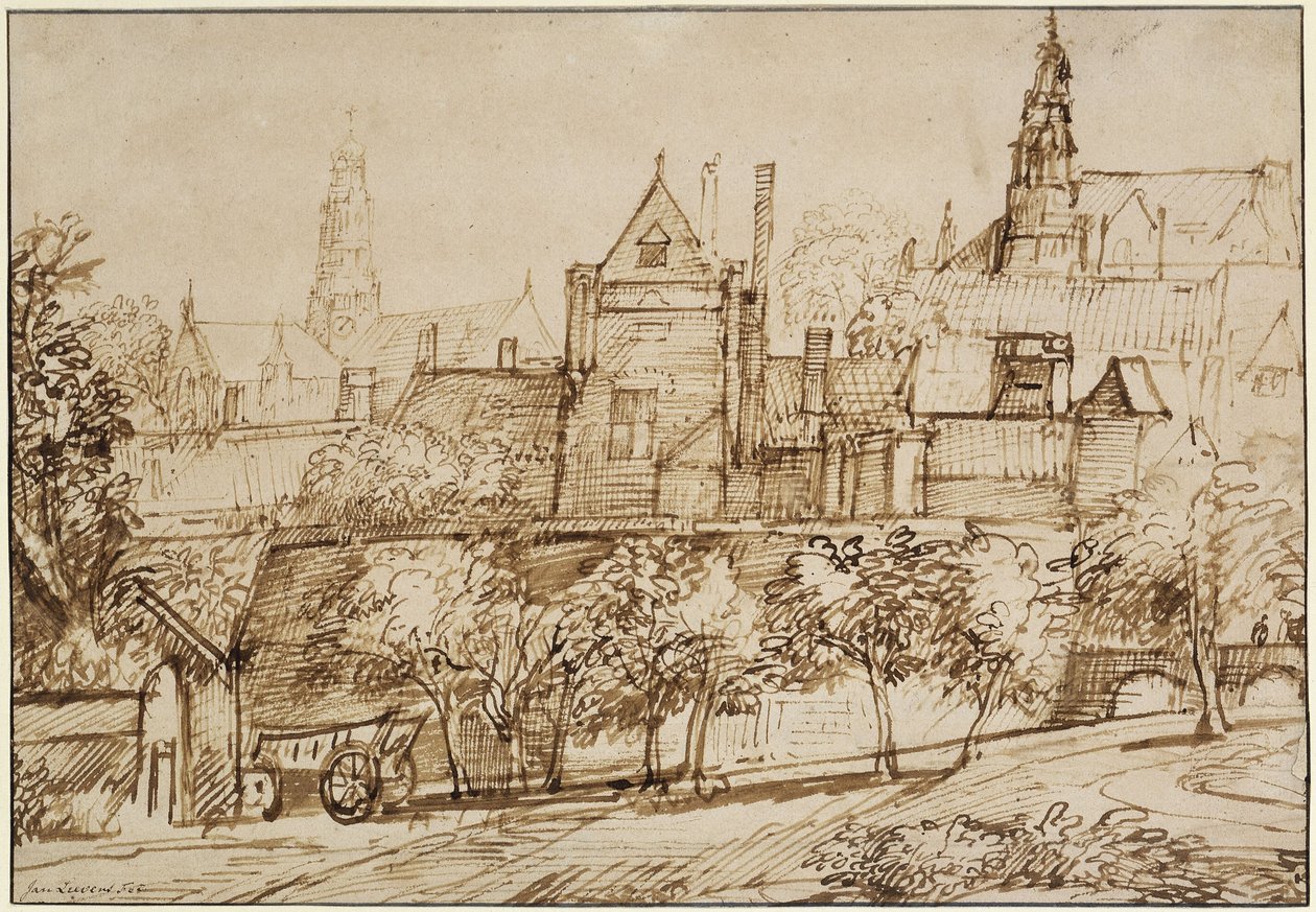 Vista sulla Groote Kerk di Haarlem da Jan Lievens