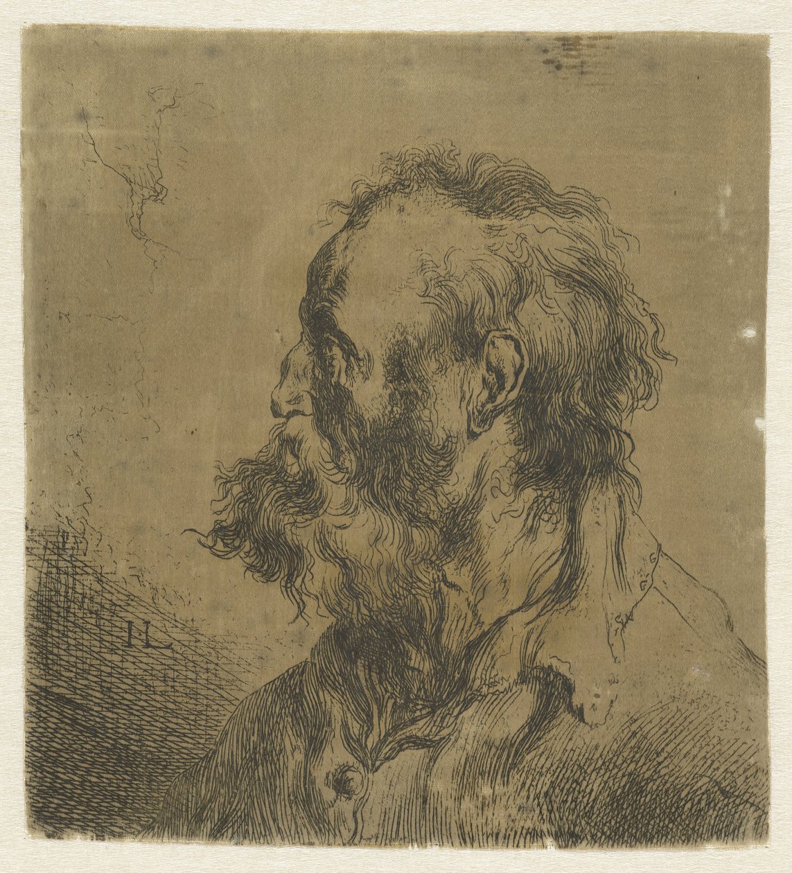 Busto di un vecchio con barba da Jan Lievens