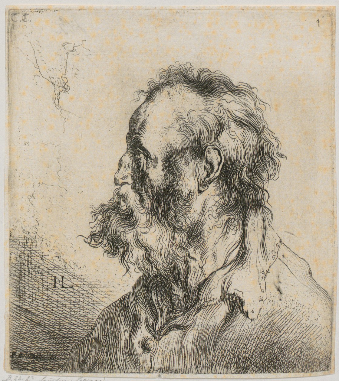 Ritratto a mezzo busto di un anziano barbuto da Jan Lievens