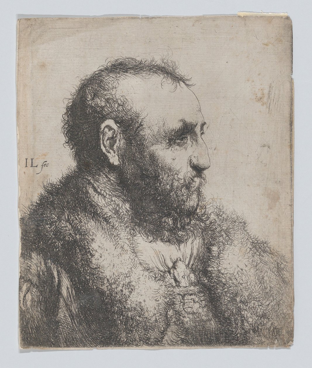 Busto di un vecchio con colletto di pelliccia da Jan Lievens