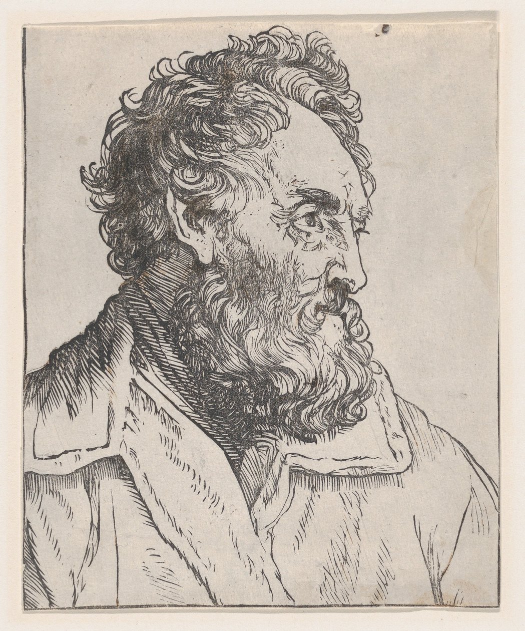 Testa di uomo da Jan Lievens