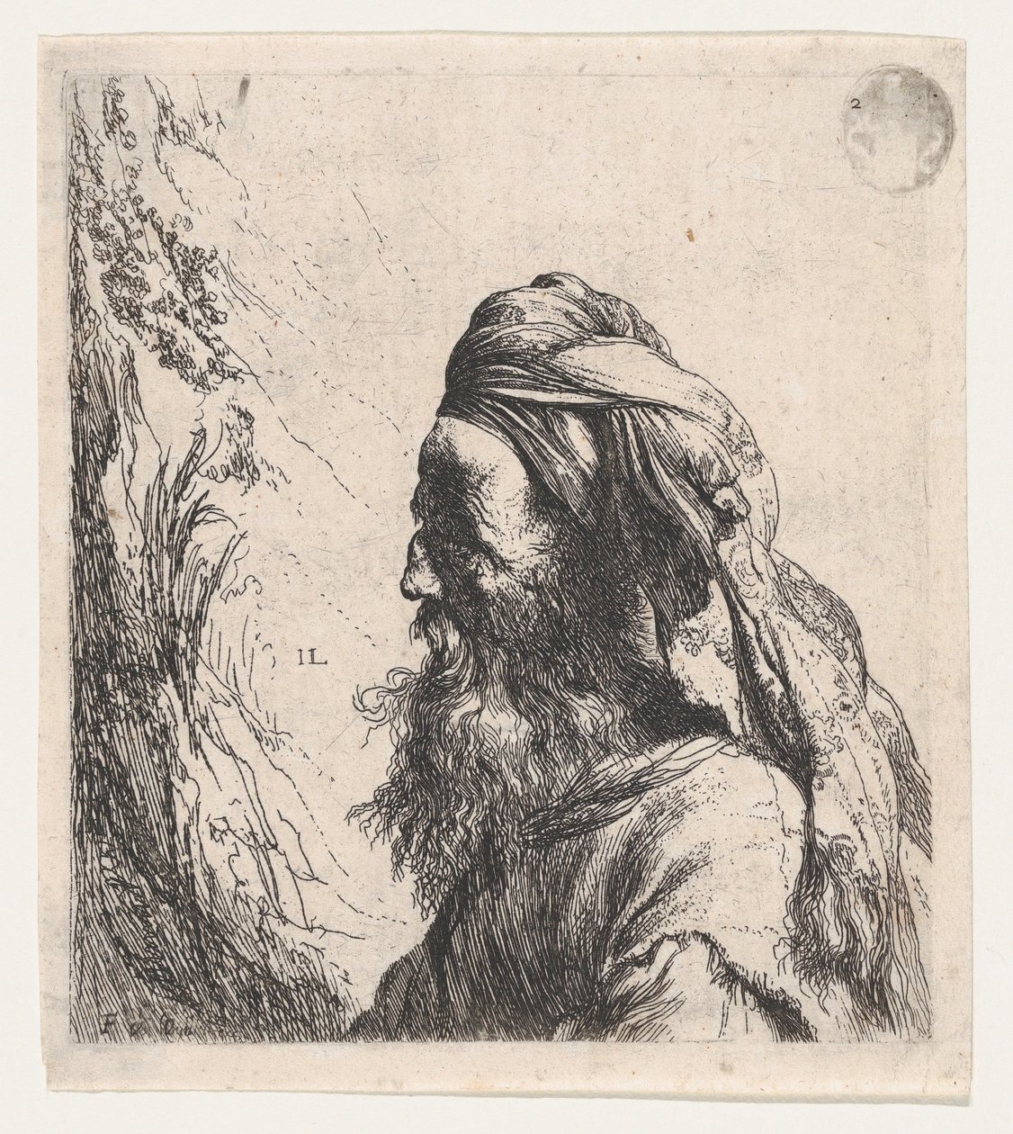 Uomo con turbante rivolto a sinistra da Jan Lievens