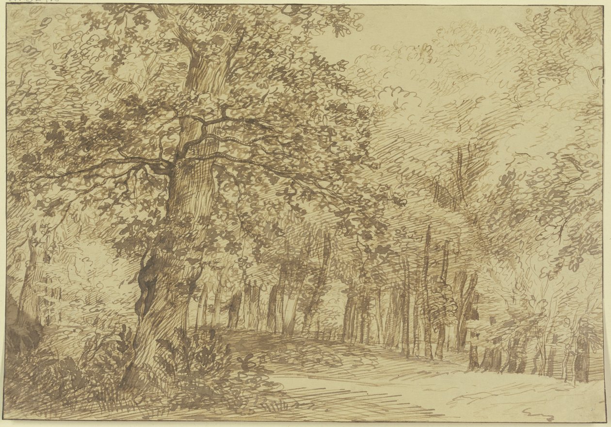 Zona boschiva, a sinistra del sentiero una grande quercia da Jan Lievens