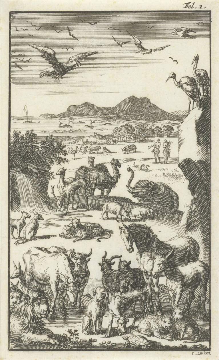 La creazione da Jan Luyken