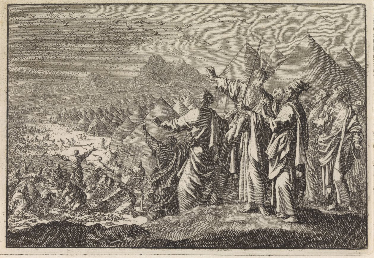 Quaglie nel deserto da Jan Luyken