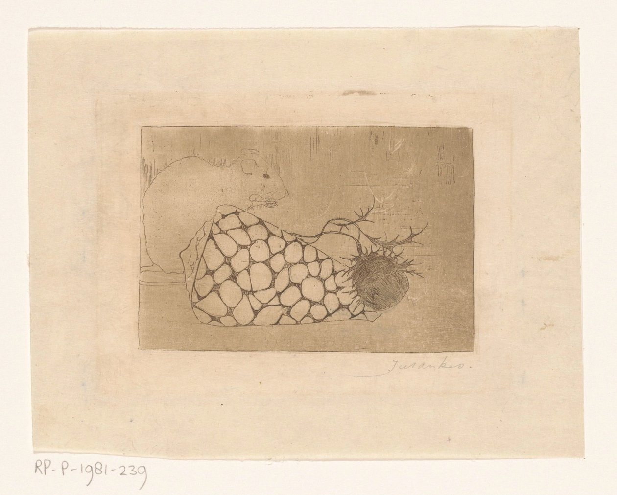 Topo, conchiglia e cardo da Jan Mankes (signed by artist)