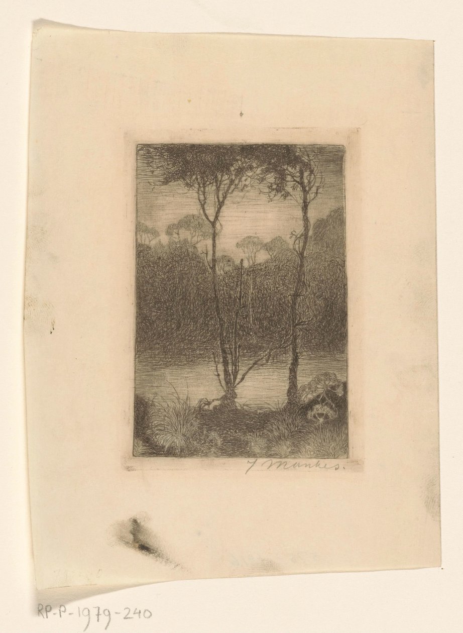 Due alberi sull