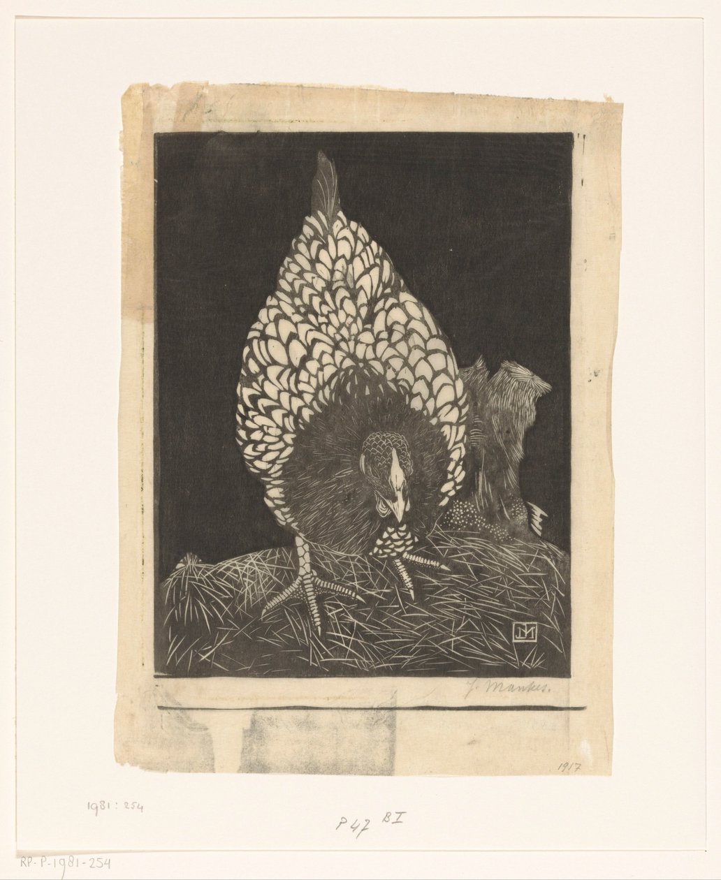 Zilverwyandotte da Jan Mankes (signed by artist)