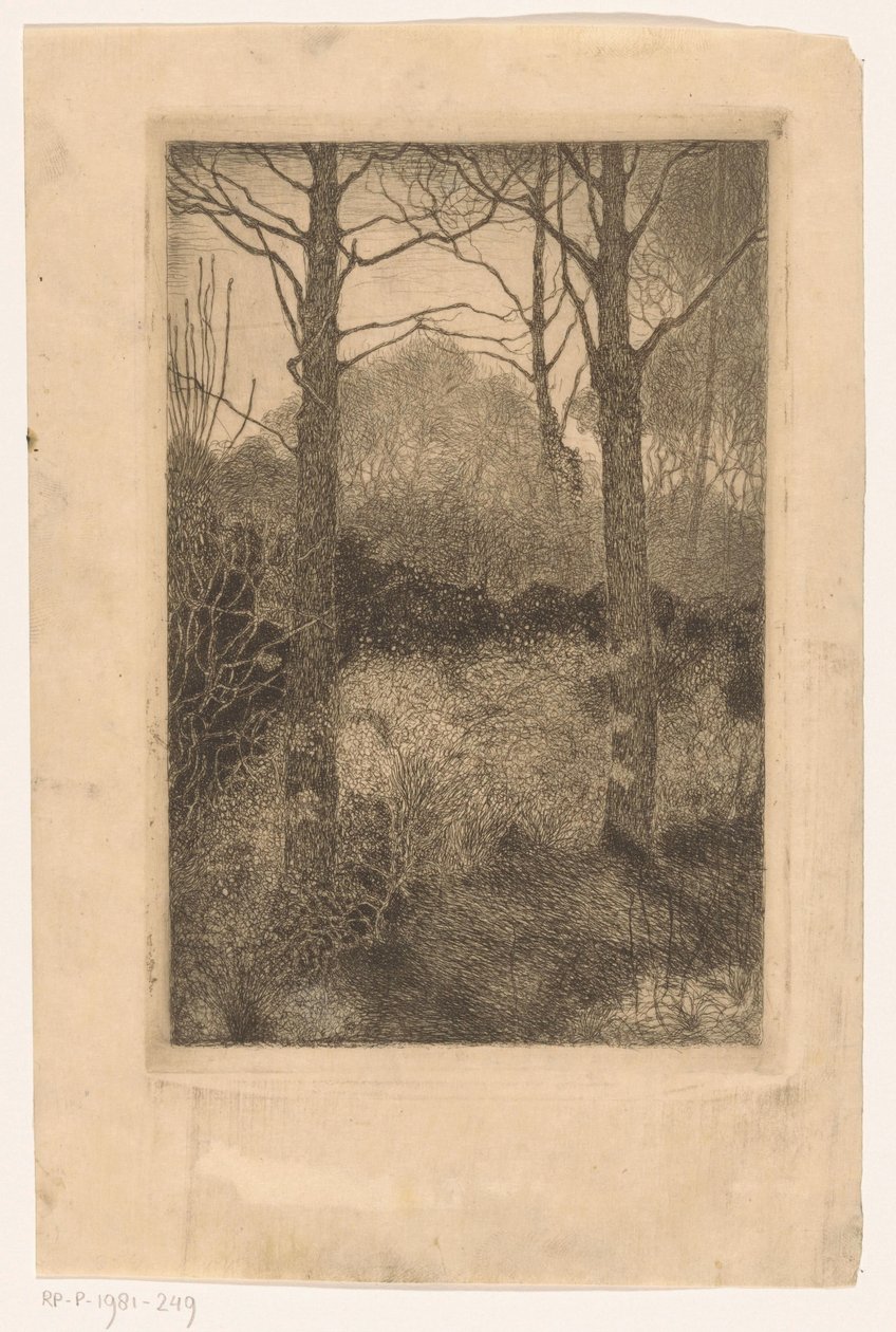 Bordo del bosco da Jan Mankes