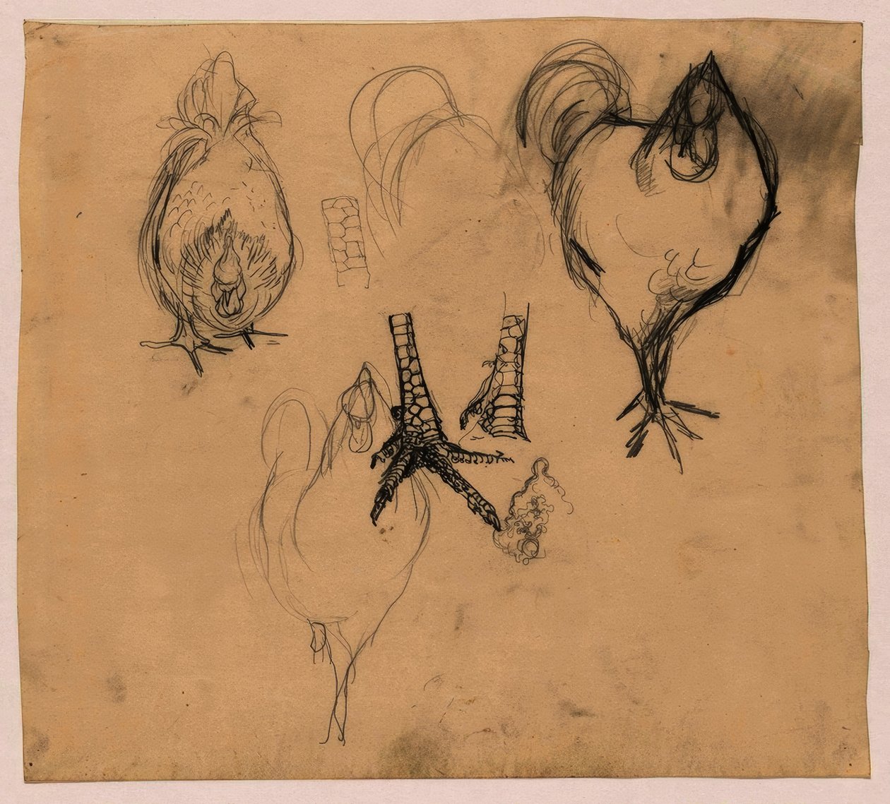 Studi di un gallo e una gallina da Jan Mankes