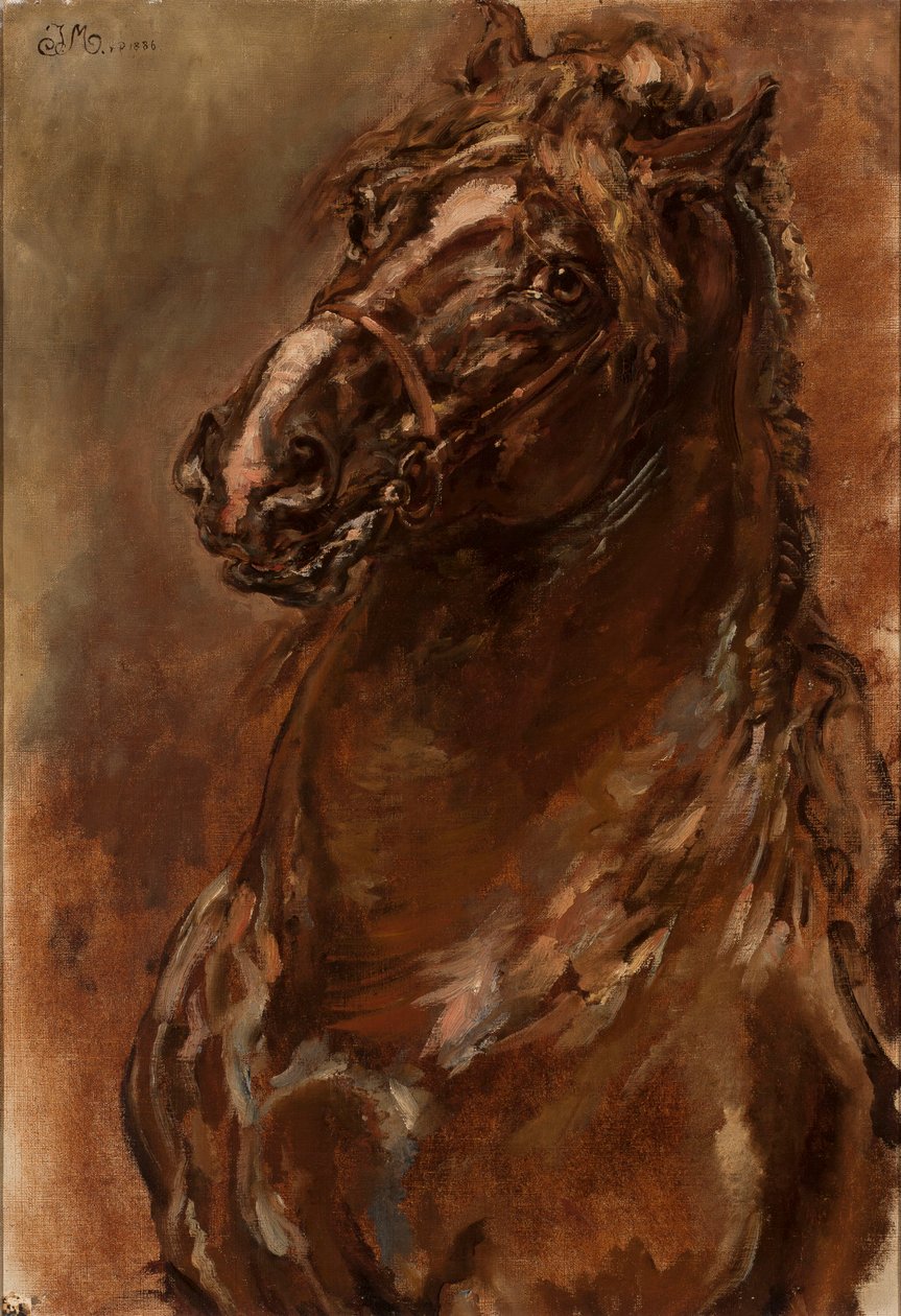 Studio della testa di cavallo per "La Vergine d