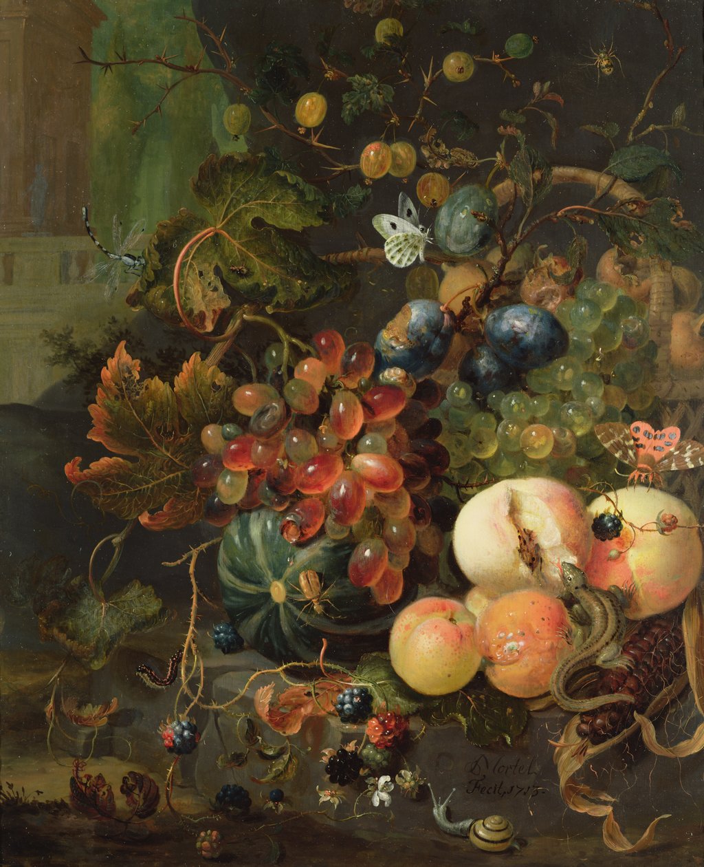 Natura Morta di Frutta e Insetti da Jan Mortel