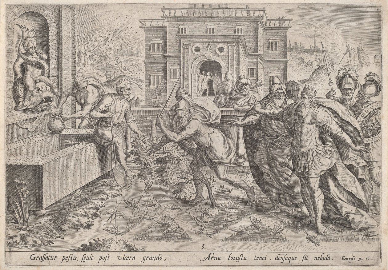 La piaga delle locuste da Jan Sadeler I, after Maarten van Cleef