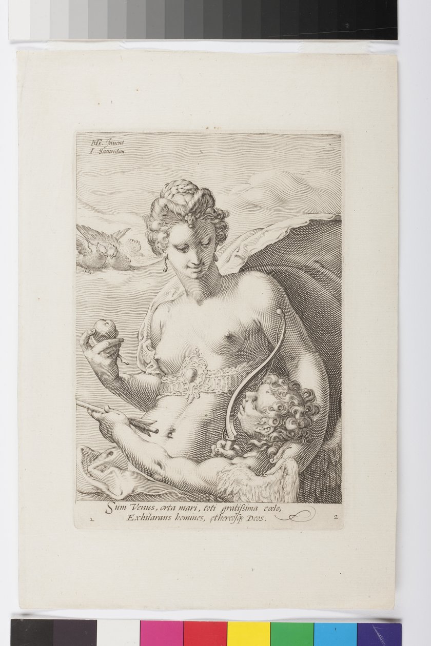 Venere (incisione) da Jan Saenredam