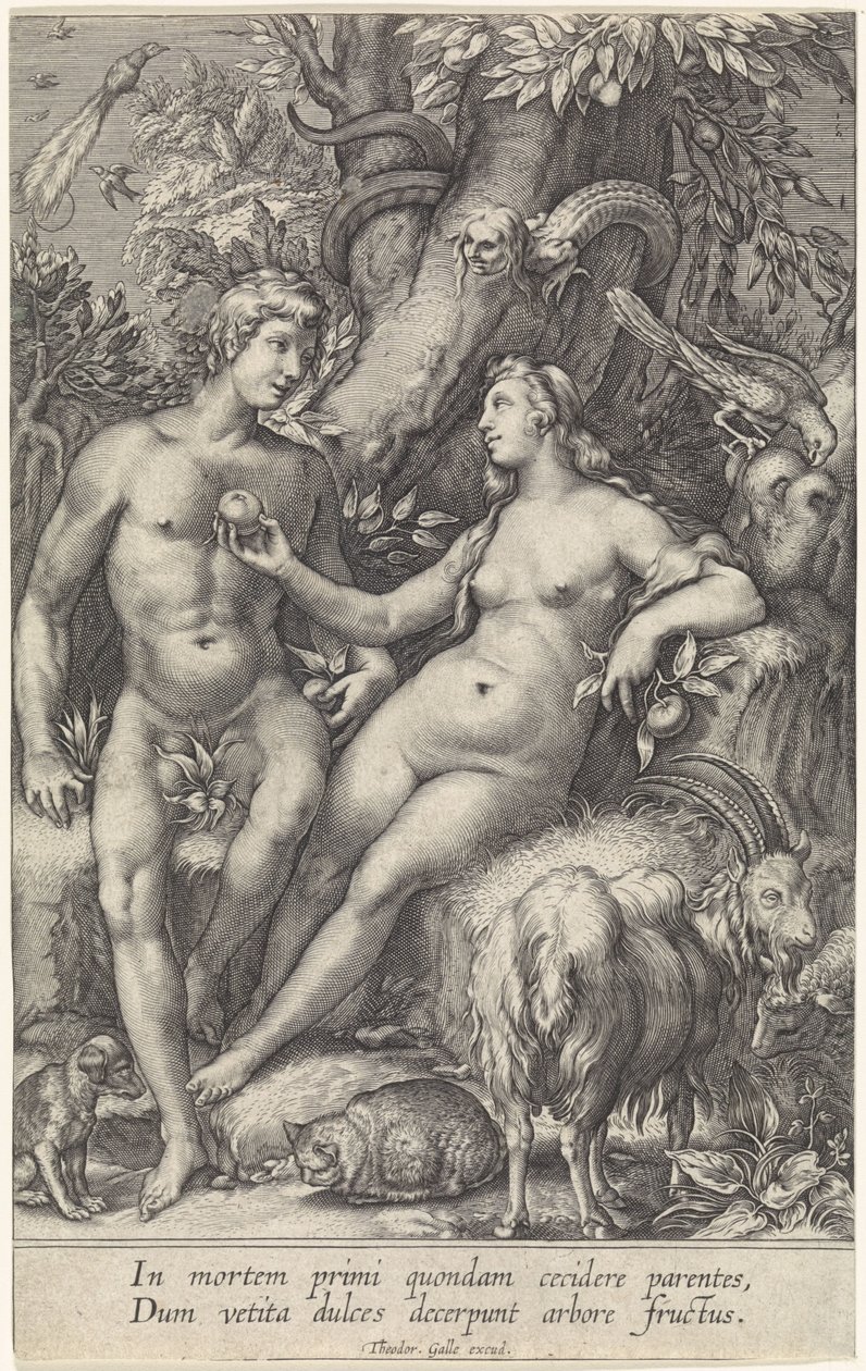 La caduta con il serpente femminile da Jan Saenredam
