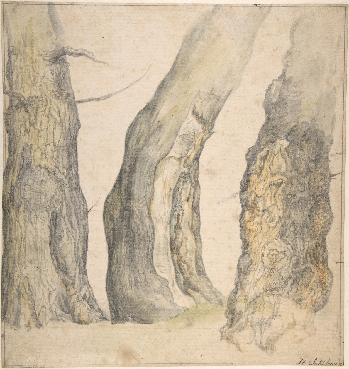 Studio di tre vecchi alberi nodosi da Jan Siberechts