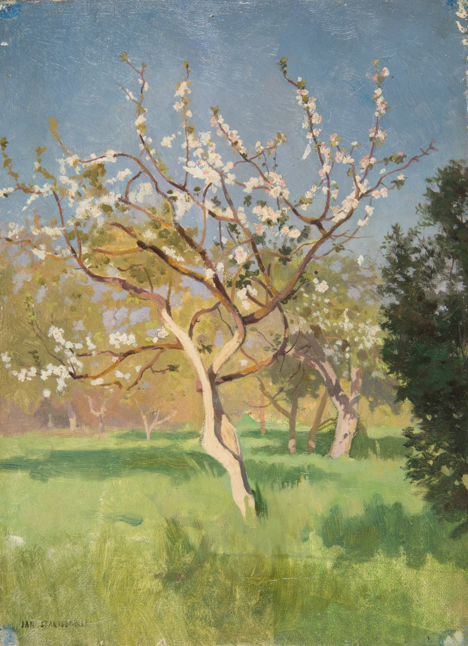 Melo in fiore da Jan Stanislawski
