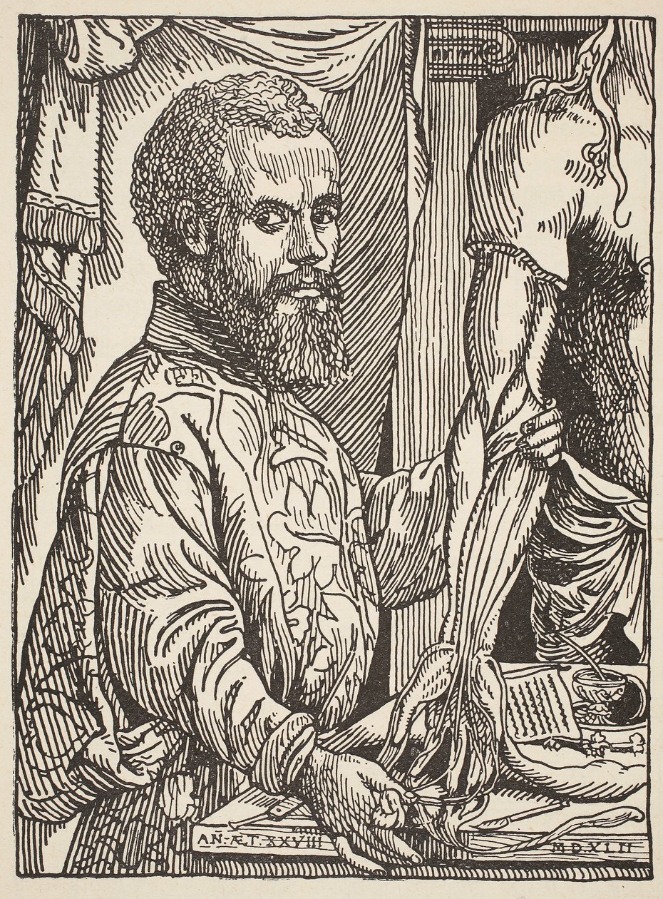Andre Vesale, copia di Boris Mestchersky, illustrazione da Histoire de la Nation Francaise, Sciences, Volumi I e II, di Gabriel Hanotaux, 1924 da Jan Stephen van Calcar