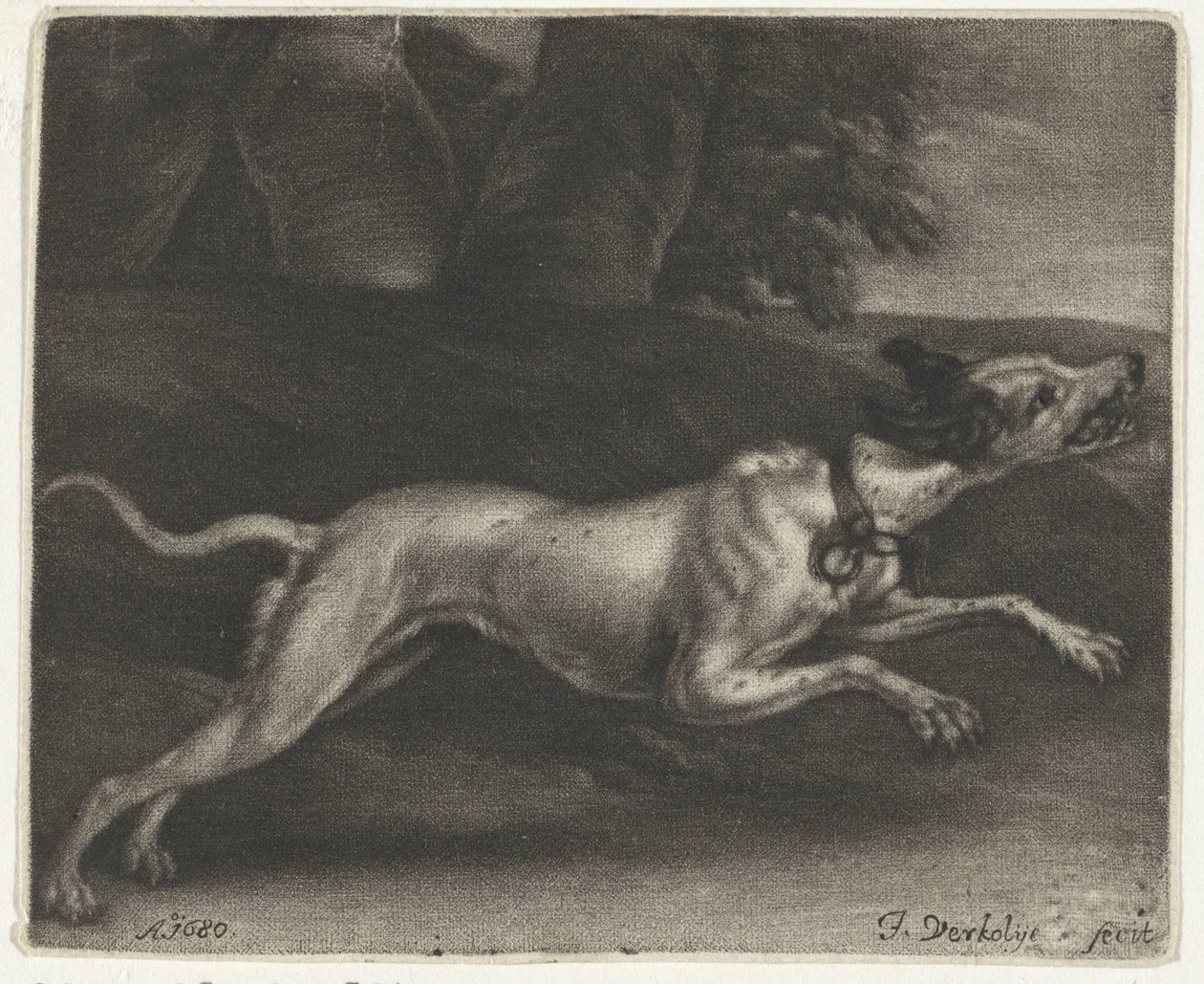 Cane che corre da Jan Verkolje (I)