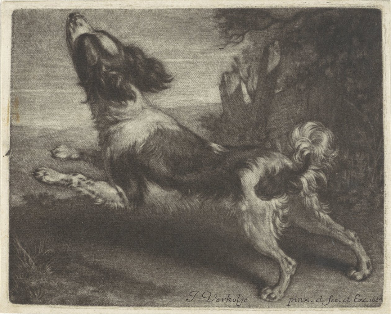Cane che corre, possibilmente uno spagnolo da Jan Verkolje (I)