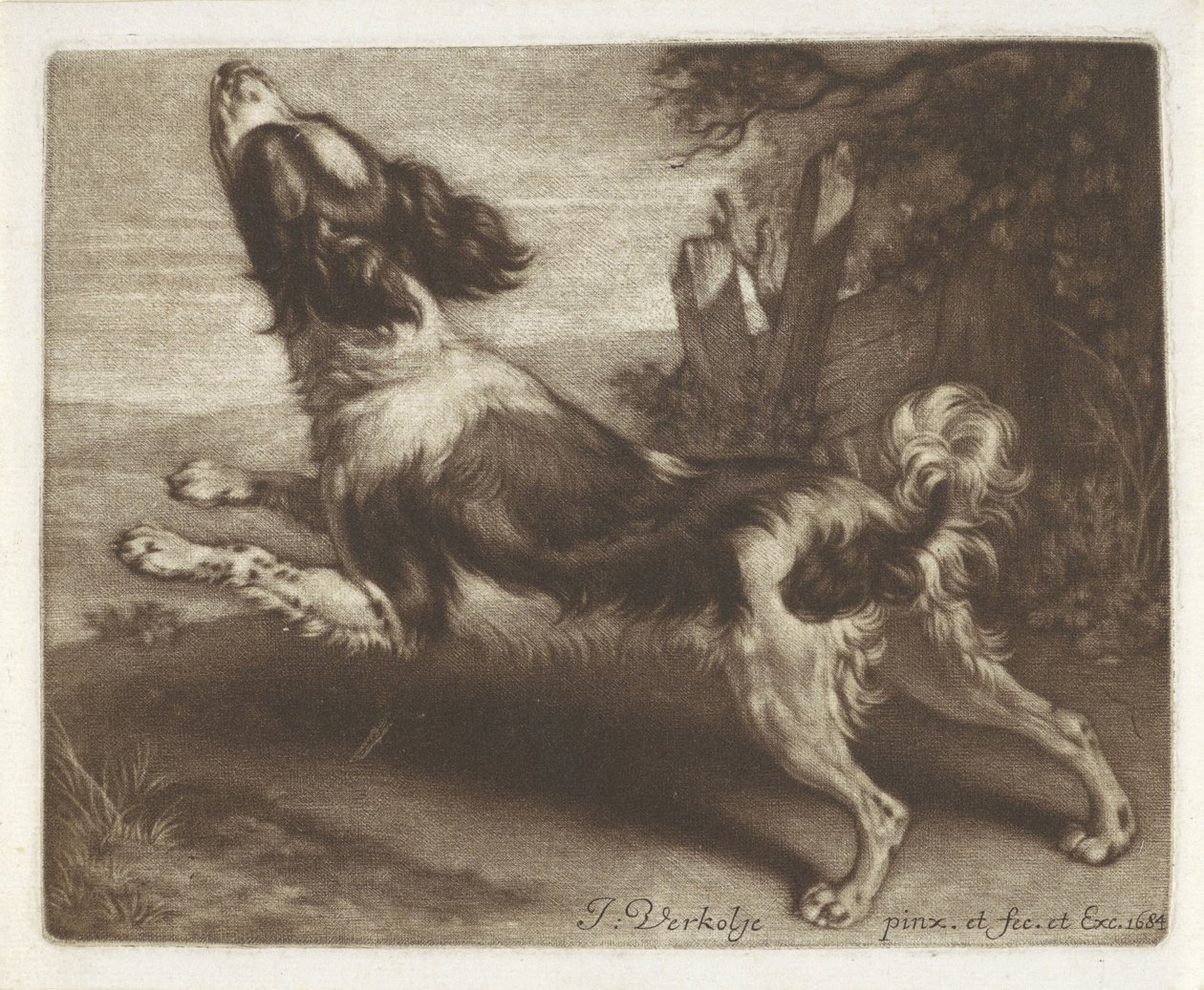 Cane che corre, forse uno spaniel da Jan Verkolje (I)