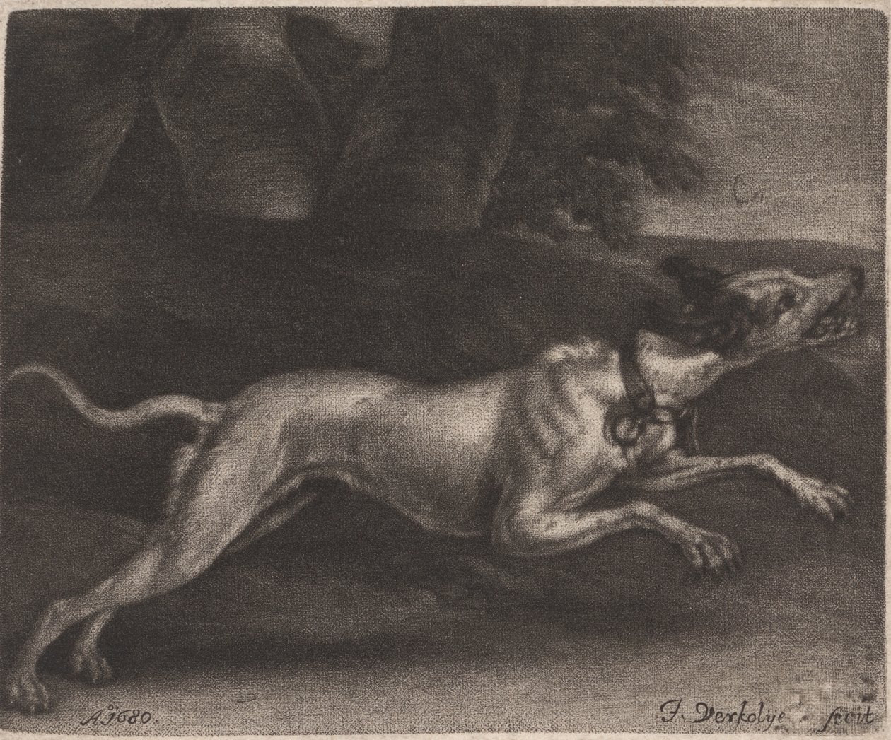 Un cane che corre da Jan Verkolje