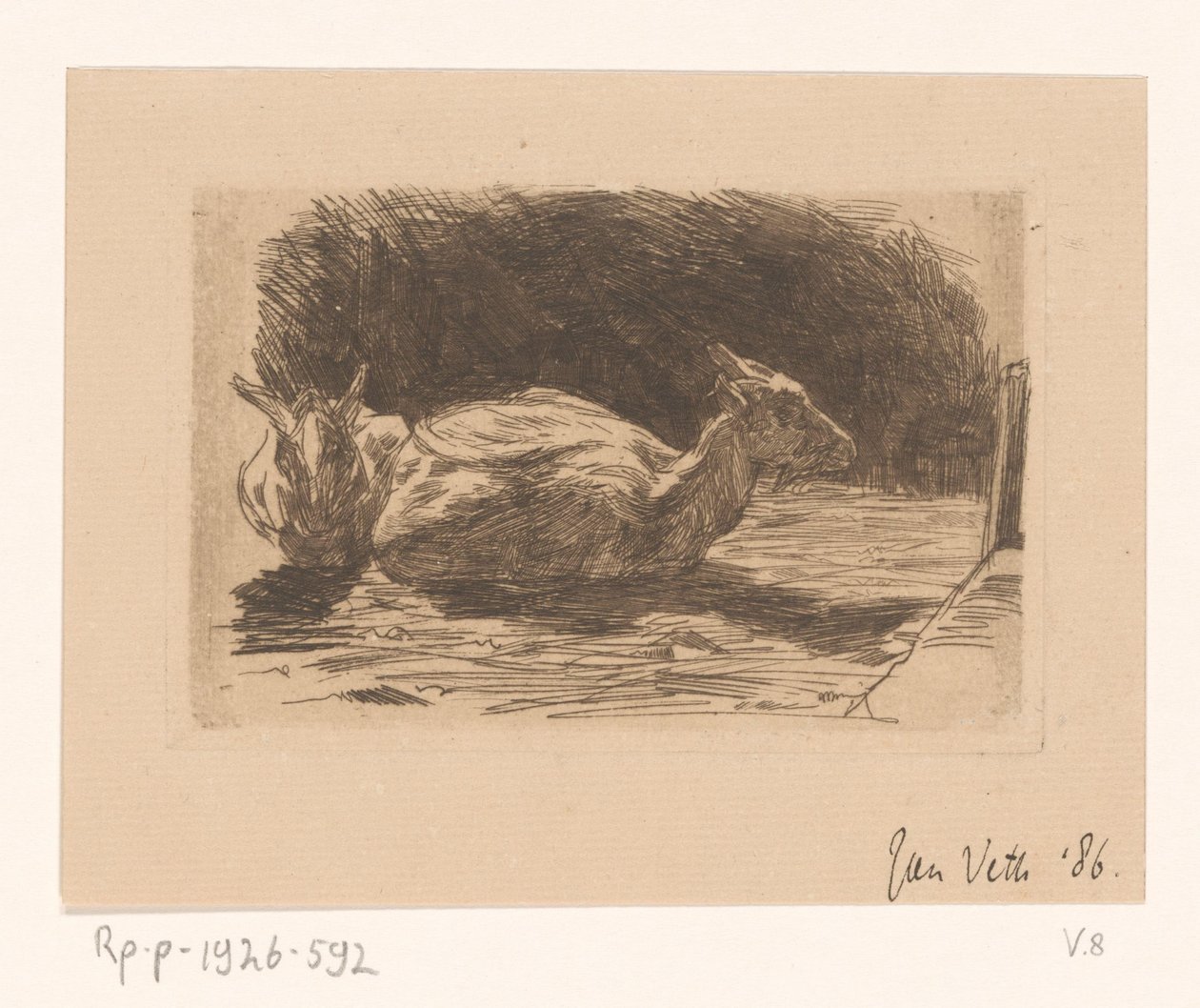 Due capre da Jan Veth (signed by artist)