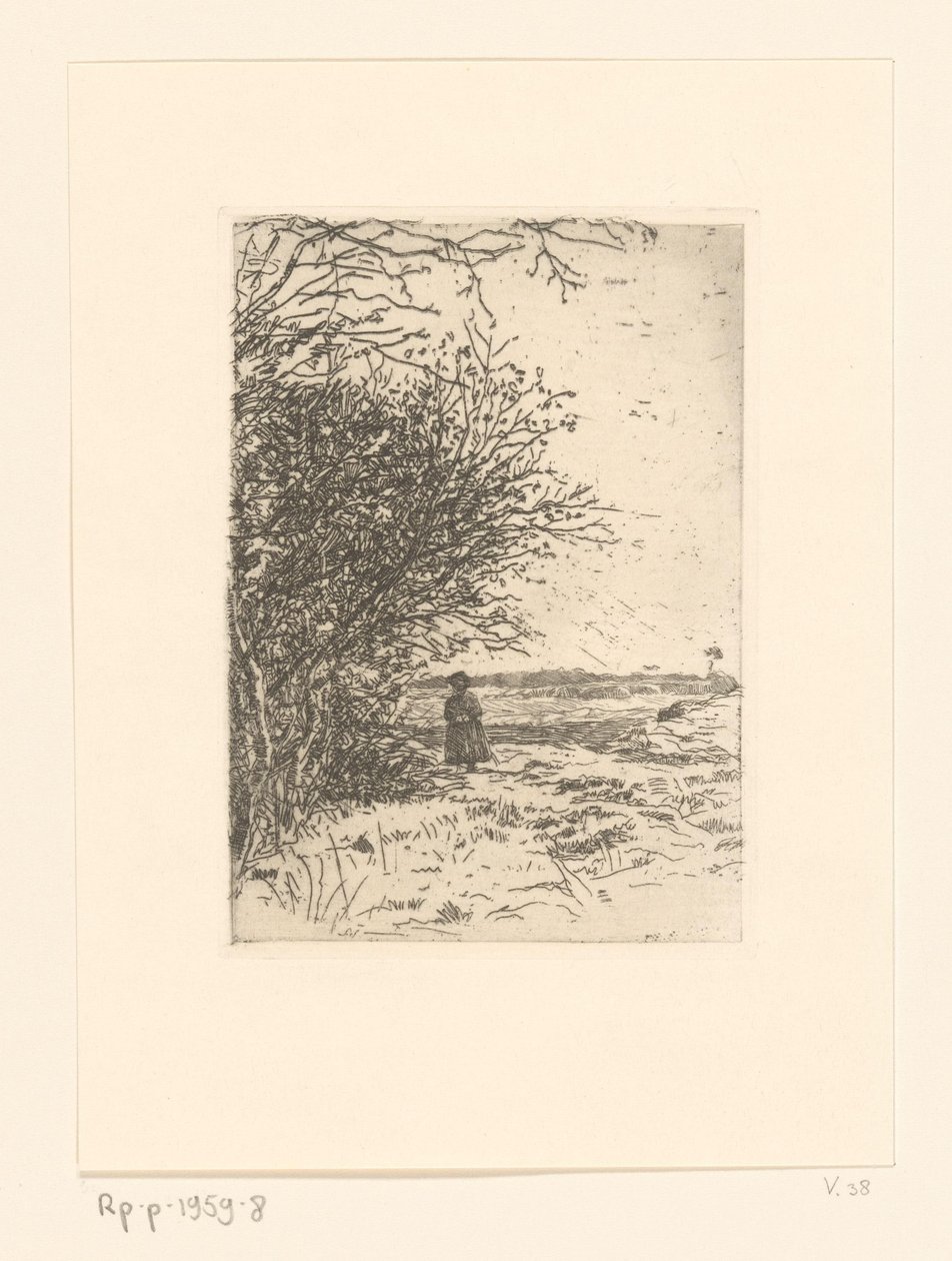 Donna in un paesaggio da Jan Veth