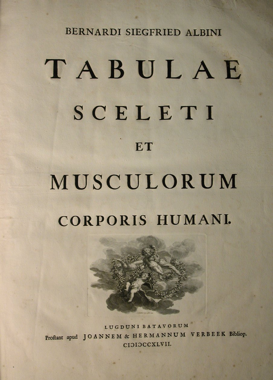 Albinus I, Pagina del titolo, da 