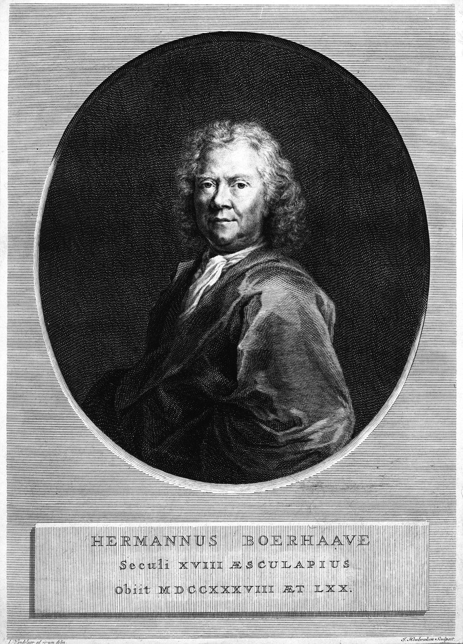 Herman Boerhaave, inciso da Jacobus Houbraken da Jan Wandelaar