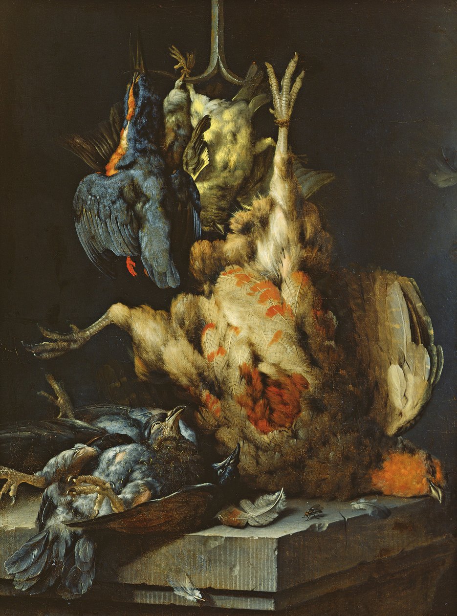 Natura Morta da Jan Baptist Weenix