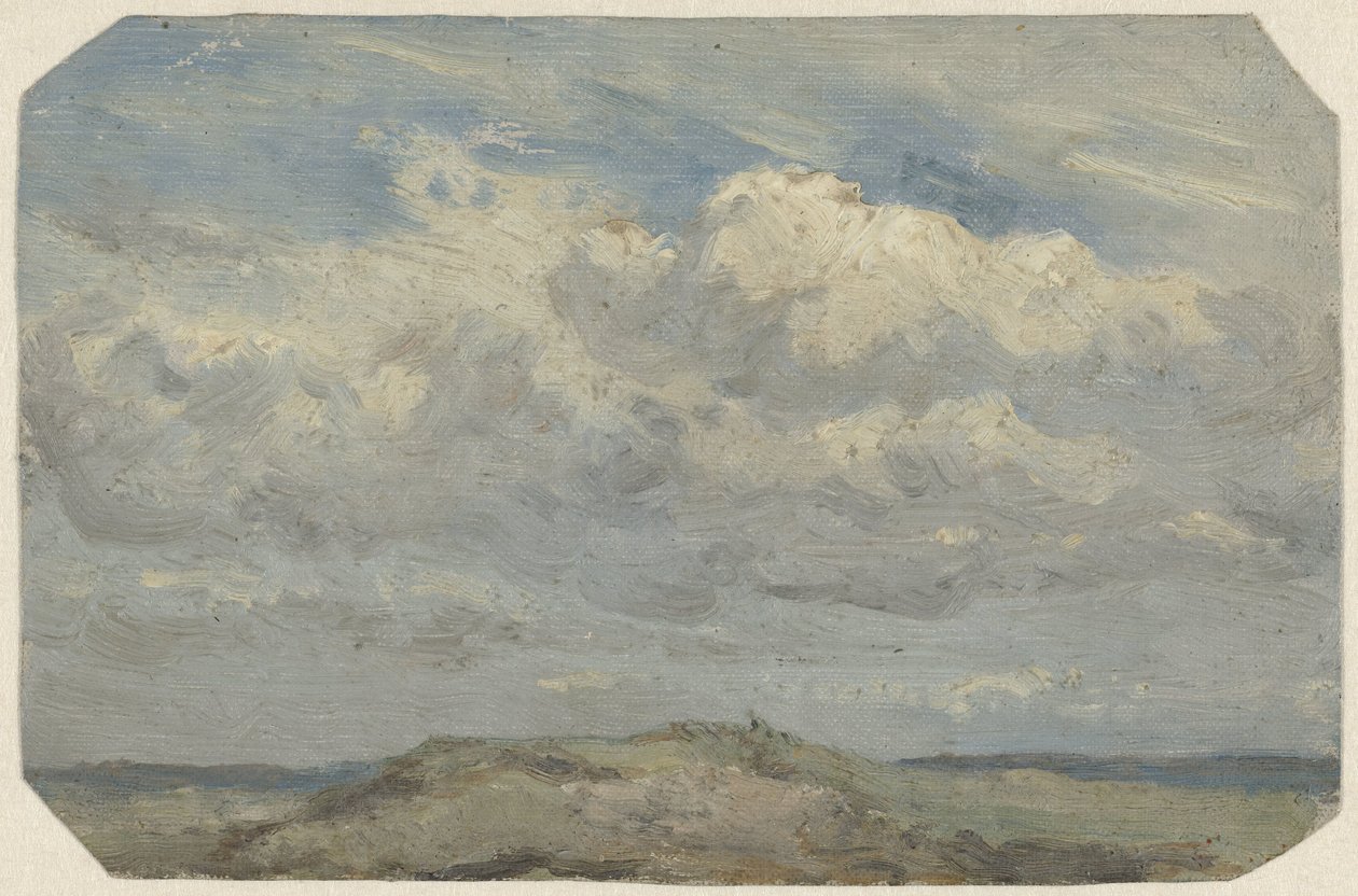 Cima di una duna con il mare sullo sfondo da Jan Willem van Borselen